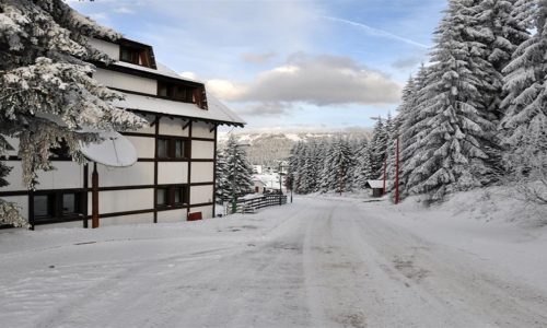 srebrna lisica kopaonik