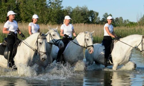 team building vojvodina