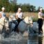 team building vojvodina