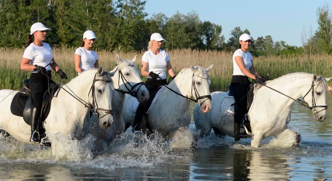 team building vojvodina